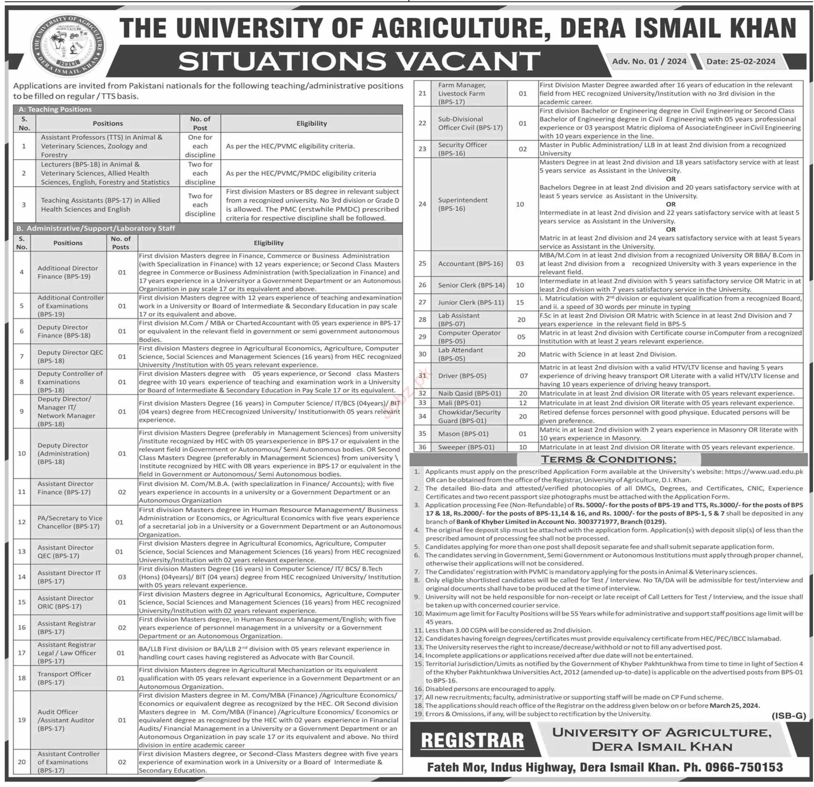 University of Agriculture Dera Ismail Khan Jobs 2024