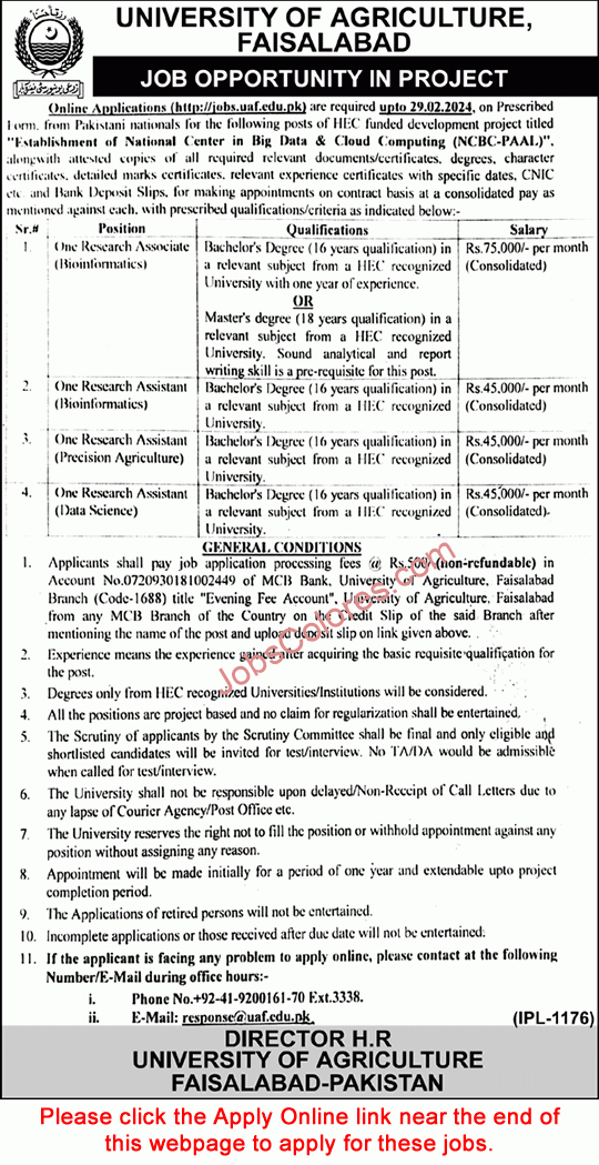 University of Agriculture Faisalabad Jobs 2024 
